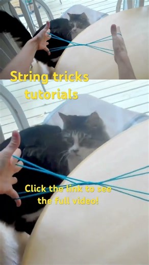String tricks - kitty whiskers tutorial! See full video!