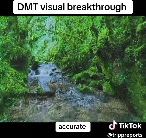 DMT Visual Breakthrough: Insights and Experiences