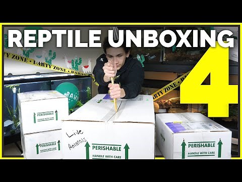 Unboxing 16 Pet Reptiles! Leopard Geckos, Ball Pythons & More New Animals
