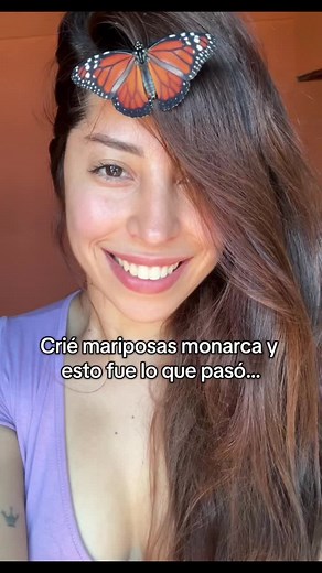 Criando Mariposas Monarca: Un Viaje Asombroso