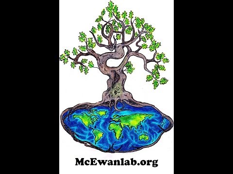 Creating a box plot and bar chart with error bars in GGPlot