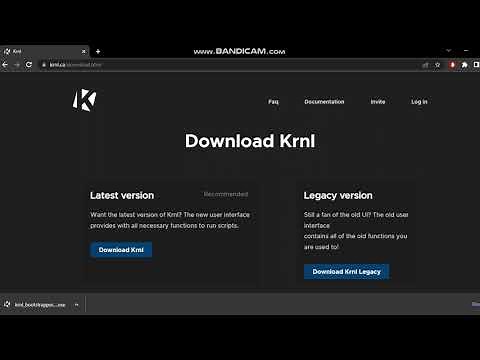 How to download krnl and fix not being able to download Krnl (DNS Problem)