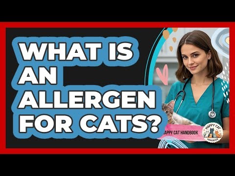 What Is An Allergen For Cats? - Happy Cat Handbook