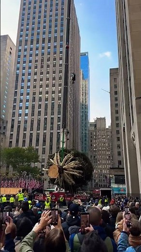 Download Youtube Videos for Free SaveFrom net