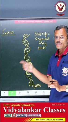 What is a Gene? | DNA, Genes & Chromosomes Explained | Biology Lecture | Vidyalankar Classes