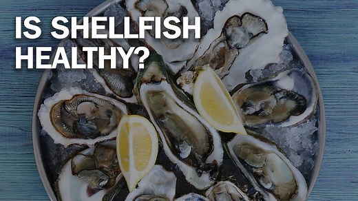 631K views · 496 reactions | Is shellfish healthy? Here's what the experts say https://ti.me/2NspFi6 | TIME | Facebook