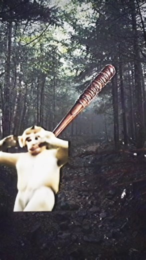 Baby Monkey Dance Compilation #monkey #babymonkey #shorts #monkeysr #babyprimate #funny