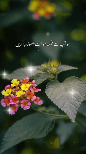Best Urdu Aqwal: Golden Words in Urdu