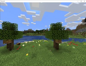 RasberryPi4でMinecraftサーバー(統合版)を構築した話｜医師から始めるサイドFIRE生活