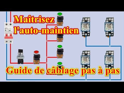 l'auto-maintien : Schéma détaillé pour plusieurs relais à 8 broches