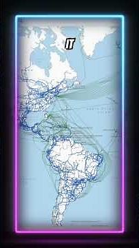 🌐 What Does WWW Mean in a URL? | Discover the World Wide Web! 🌟