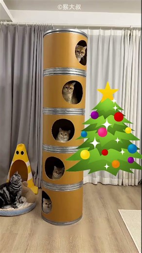 DIY Cat Tree 🐱#diy #cats #shorts #viral