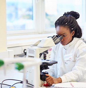 Bioinformatics MSc - University of Bradford