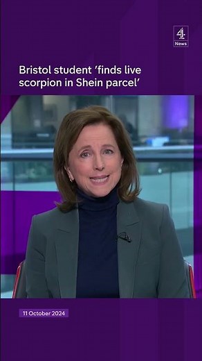 Student 'finds scorpion in Shein parcel'