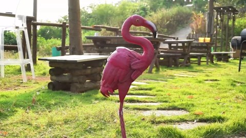 Amazon.com: OAGluminix Pink Yard Flamingos for Outside, Outdoor Metal Flamingo Sculptures Decor for Garden Yard Lawn, Flamingo Decor Statue Gifts for Women Mom Grandma : Patio, Lawn & Garden