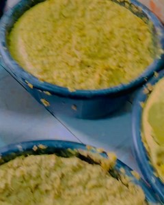 179 reactions · 183 comments | NEWS FOR THIS MONTH ☝️  EVERYONE...