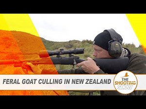 The Shooting Show - Feral goat culling, stalking for muntjac PLUS corvid control over maize