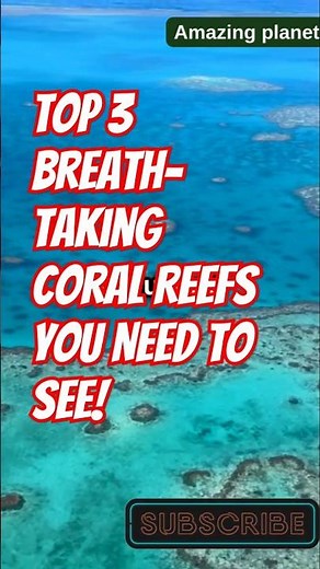 Top 3 Breathtaking Coral Reefs You NEED to See!