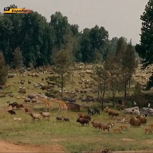 11K views · 56 reactions | Películas de acción 2022 - Peliculas completas en español latino de accion 2022 | Juego TV | Facebook