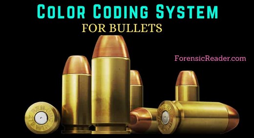 Color-Coded Bullets Tips [Tables]: Different Types and Their Uses