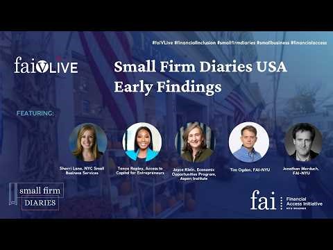 Early Findings from Small Firm Diaries USA
