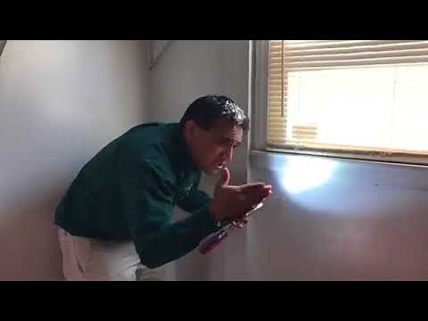 termite inspection process