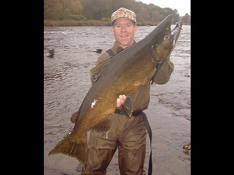 Pulaski NY Salmon River spin fly fishing guide Tip for steelhead and salmon