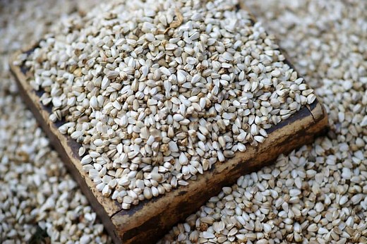 Safflower Seed 101: Everything You Need To Know!