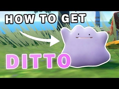 Where to Catch a Ditto ► Pokemon Scarlet & Violet