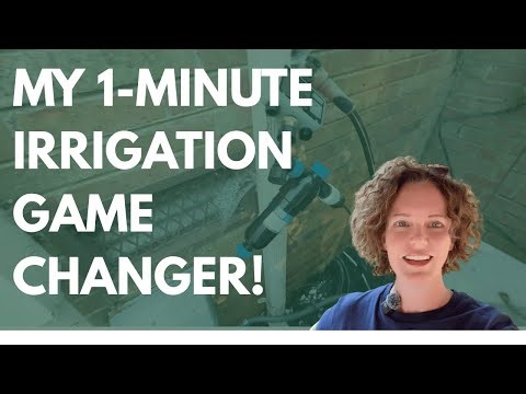 Drip Irrigation System Expansion Made Easy: My 1-minute Fix for Thirsty Containers!