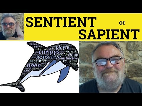 😎 Sentient Meaning - Sapient Definition - Sentient vs Sapient Examples - Sapient or Sentient