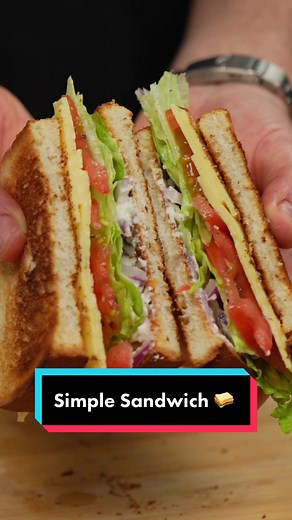Delicious Homemade Sandwich Recipes