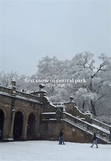 i shed a tear #snow #winter #centralpark #nyc | central park new york