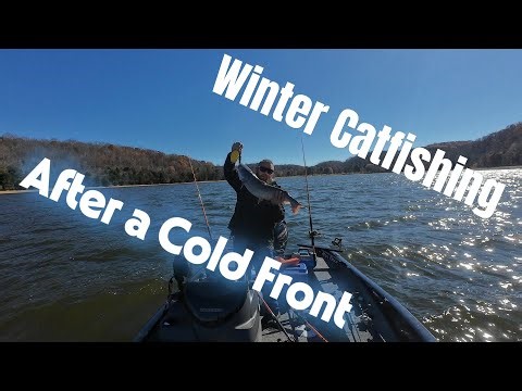 Everyone Said Don’t Go — Catfish Were Biting