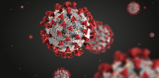 How does the immune system mobilize in response to a COVID-19 infection or a vaccine? 5 essential reads