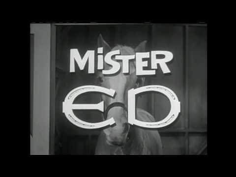 Mr. Ed Theme