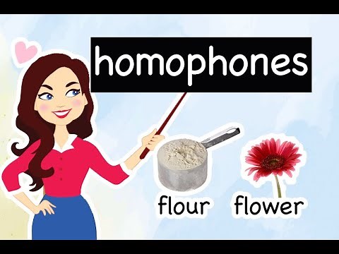English Lesson #18 | What are HOMOPHONES? Examples & Usage