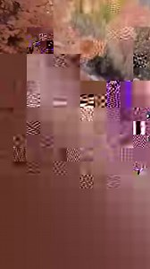 1.7K views · 214 reactions | Sling lets you build the perfect channel lineup so you don't miss your favorite shows live, or on demand. | Sling TV | Facebook