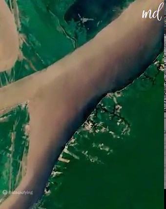 Leaf under the microscope | MetDaan DIY