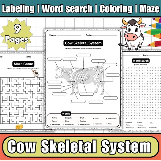 Cow Skeletal System Labeling Diagram, Coloring, Word Search, Maze, Science Activity Pack (PDF) - Etsy Canada
