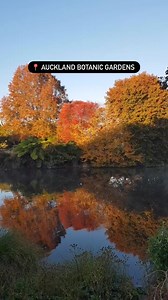 1.3K reactions · 290 shares | Wrap up warm, grab a hot chocolate and head to these spots in Auckland to see autumn colours before winter rolls in. Check out the full list here: https://bit.ly/3UEMwuX | Visit Auckland | Facebook