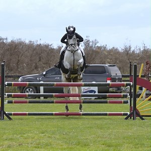 484 reactions · 27 shares | The best of the best show jumping #OffTheTrack thoroughbreds stepped out for the Racing Victoria Off The Track Final at Sunday’s 2022 Pryde's Easifeed Australian Jumping Championships! We headed out to Boneo Park to catch up with some of the riders & their thoroughbreds to hear how they went in the class. | Off The Track | Facebook