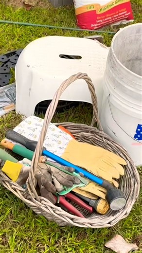 Shed Organizing and Declutter Tips!