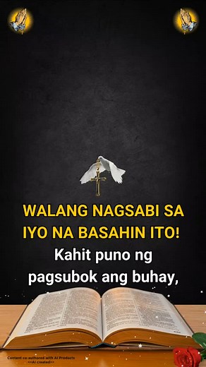 10K reactions · 2.8K shares | Seeking God's Mercy on Reels | Facebook