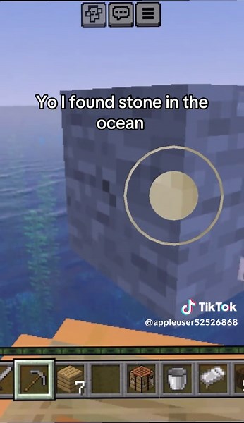 Exploring the Mysterious Stone Found in the Ocean