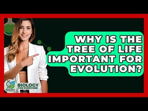 Why Is The Tree Of Life Important For Evolution? - Biology For Everyone