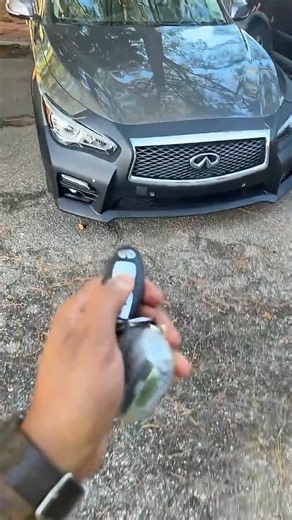 Main G37 on Instagram: "Infiniti Key Fob Not Working? #infinitiowners #infinitiq50 #infinitiq60 #infinitig37 #infiniticlub #infinitifans #keyfobissues #infinitifix #cartroubles #infinitisquad #infinitiforum #nissanfamily #infinititechhelp #carvlog #cartutorial #infinitivideo #infinitidriver #infinitinews #infinititroubleshoot #carcommunity"