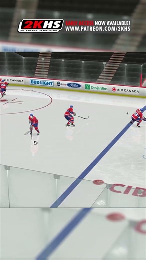Working on a Puck Physics #2khs #nhl #hockey