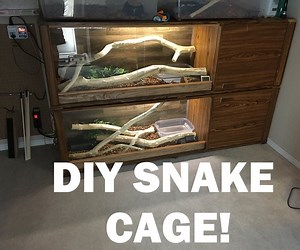 DIY Snake Cage