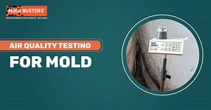 Air Quality Testing for Mold | Types of Air Tests | MoldBusters